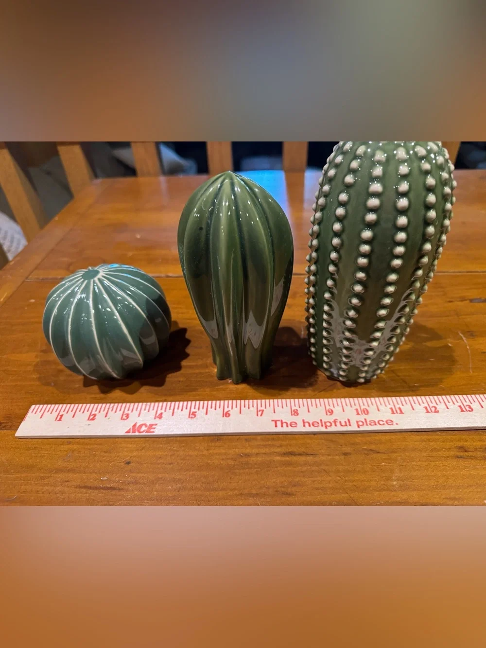 CACTI TRIO